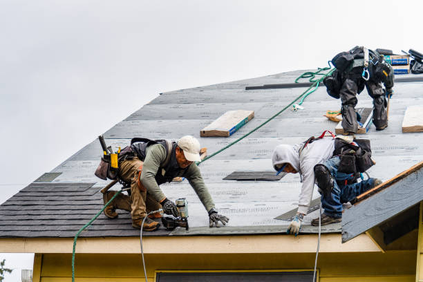 Professional Roof Inspection technician working in Toddville, IA